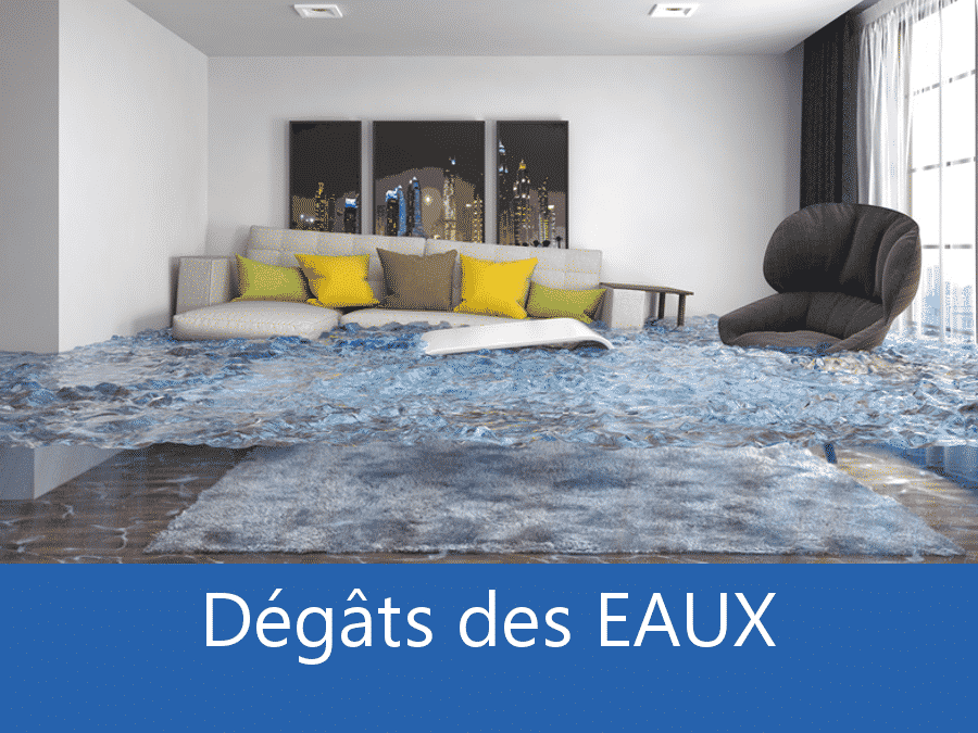 expertise humidité 74, expert humidité Annecy, cause moisissure Haute-Savoie, solutions humidité Thonon-les-Bains,